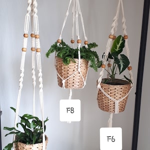 May include: Three macrame plant hangers with wooden beads, each holding a potted plant. The hangers are labeled F6, F7, and F8.