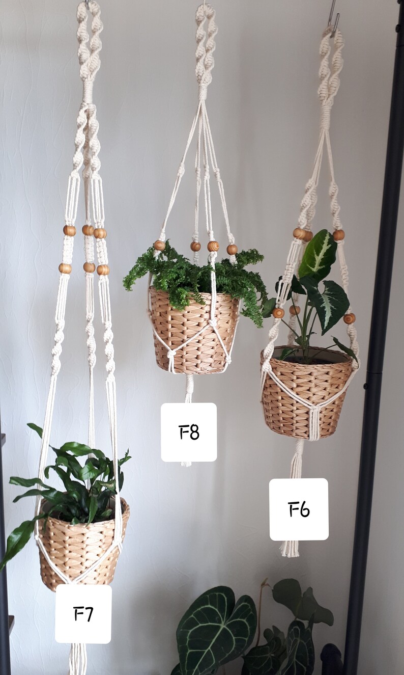 May include: Three macrame plant hangers with wooden beads, each holding a potted plant. The hangers are labeled F6, F7, and F8.