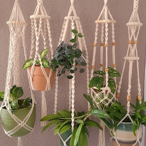Könnte beinhalten: Fünf Makramee-Pflanzenhänger mit Holzringen und Perlen, die jeweils eine Topfpflanze halten. Die Hänger sind aus weißem Baumwollschnur gefertigt und haben verschiedene Muster. Die Pflanzen sind eine Mischung aus Grün und Braun.