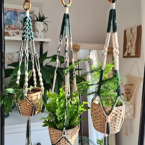 Könnte beinhalten: Drei Makramee-Pflanzenaufhänger mit gewebten Körben, die jeweils eine lebendige grüne Pflanze enthalten. Die Aufhänger haben eine Kombination aus cremefarbenem und dunkelgrünem Seil, Holzringen und dekorativen Quasten. Die Pflanzen verleihen der Einrichtung eine natürliche Note.