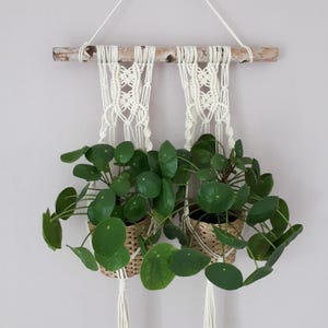 Blumenampel aus bambus - Etsy.de