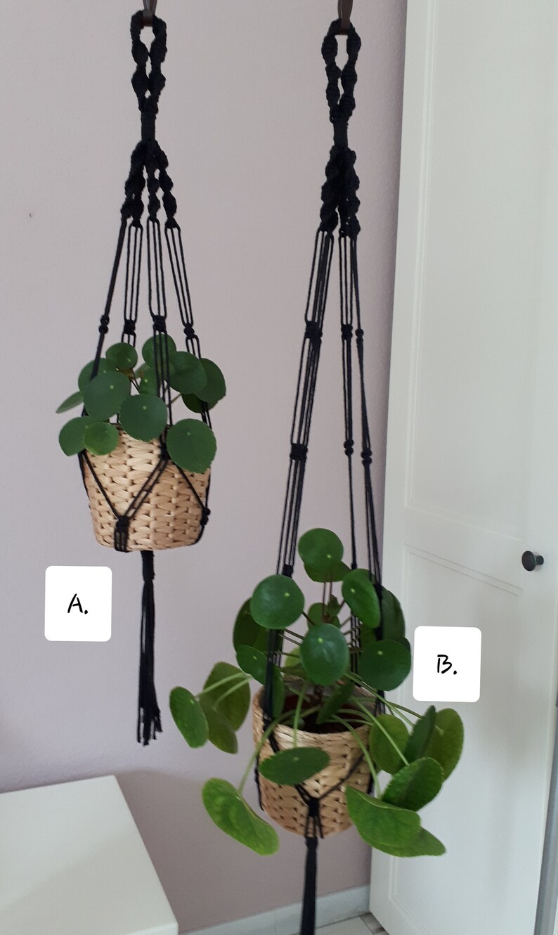 May include: Two black macrame plant hangers with green plants in woven baskets. The hangers are labeled A and B.