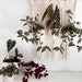 luci.for.plants
