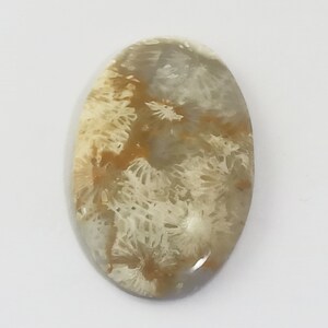 Fossile Koralle Oval Form Cabochon Lose Edelstein Handgemacht 30 Karat 34x25x6 MM Für Schmuckherstellung, Zum Großhandelspreis