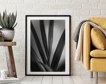 Schwarz-weiße Pflanzenfotografie, Fine Art Print