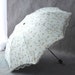 see more listings in the umbrella section