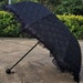 see more listings in the umbrella section