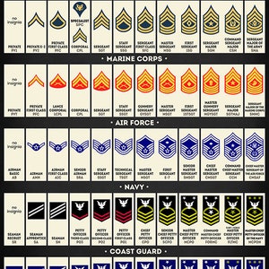 May include: A chart showing the rank insignia for the United States Army, Marine Corps, Air Force, Navy, and Coast Guard. The chart shows the rank insignia for each branch of the military, from E-1 to E-9.