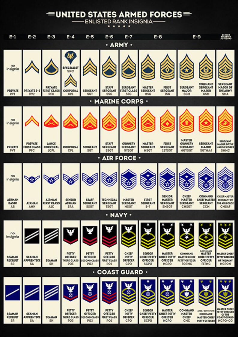 May include: A chart showing the rank insignia for the United States Army, Marine Corps, Air Force, Navy, and Coast Guard. The chart shows the rank insignia for each branch of the military, from E-1 to E-9.