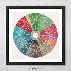 Rueda de Cata de Aceite de Oliva – Lámina Artística – Tabla de Sabores Culinarios, Arte Mural de Cocina Mediterránea, Regalo Gastronómico para Cocineros, Chefs y Sumilleres