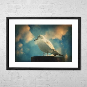 La mouette - Kunstdruck - Möwe - Möwe Wandbild - Küsten Dekor - Küsten Wandkunst - Strand Dekor - Möwe Wand Kunst - Strand Dekor