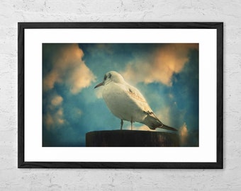 La mouette - Art Print - Seagull Print - Seagull Art - Seagull Wall Art - Coastal Decor - Coastal Wall Art - Beach art - Beach Decor -
