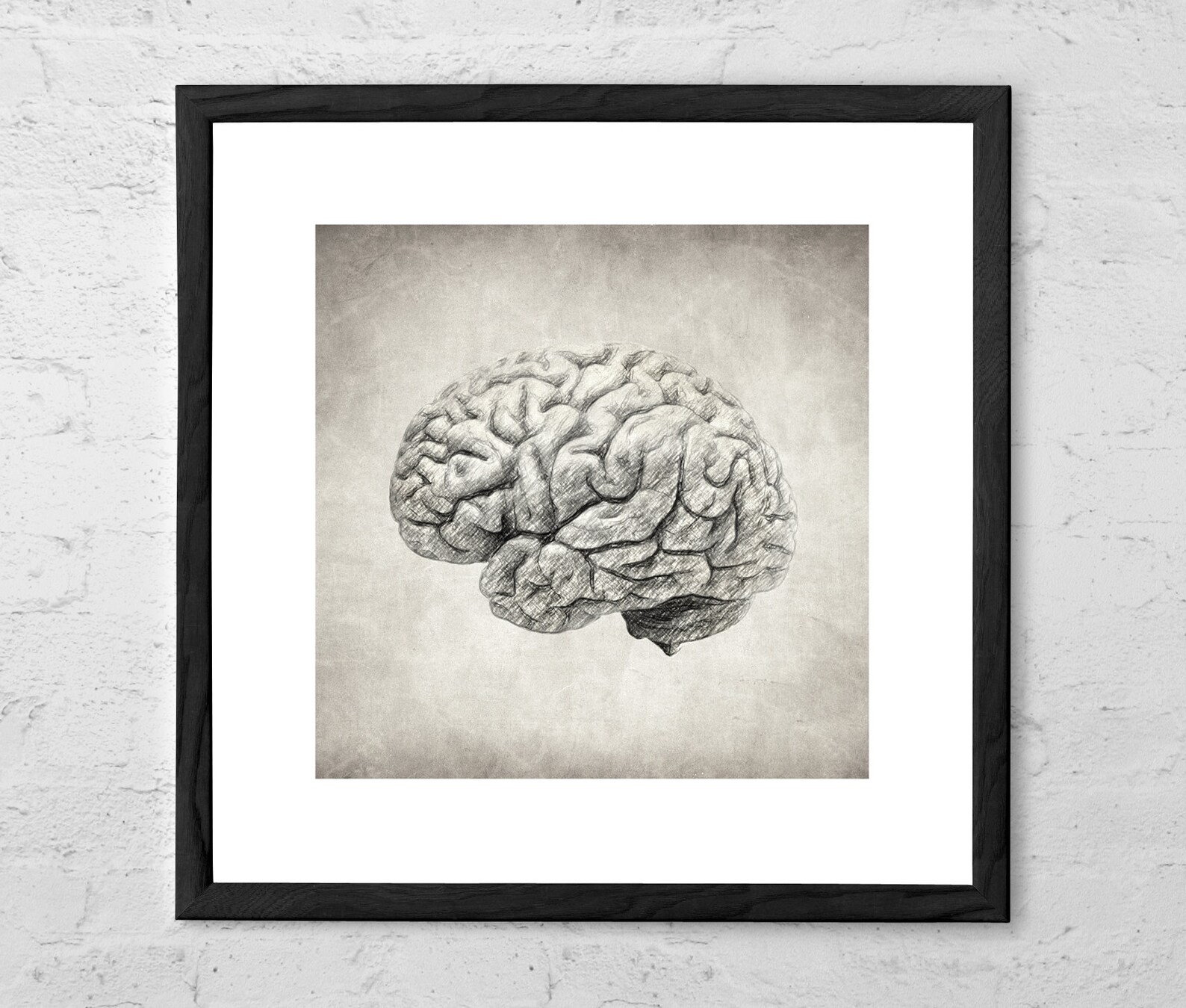 Brain Drawing Art Print Anatomy Art Anatomical Art | Etsy