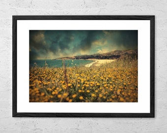 Ode to Melancholy - Fine Art Photography - Art Print - Landscape Wall Art - Spring Landscape Print - Field of Flowers Art - Nature Wall Art