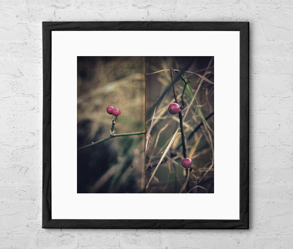 Stanza - Art Print - Wild Berries Poster - Botanical Wall Art - Home Decor - Botanical Print Vintage - French Country Decor - Nature Print