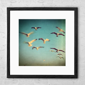 Dans Avec Les Oiseaux - Fine Art Fotografie - Möwen Wand Dekor - Möwe Kunst - Ozean Druck - Strand Dekor - Küsten Kunst - Möwen Druck