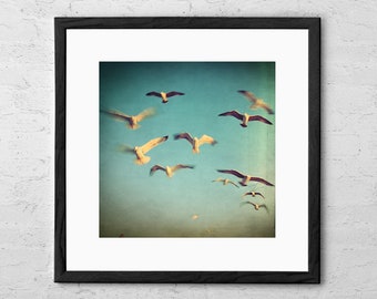 Dans Avec Les Oiseaux - Fine Art Photography - Seagulls Wall Decor - Seagull Art - Ocean Print - Beach Decor - Coastal Art - Seagull Print