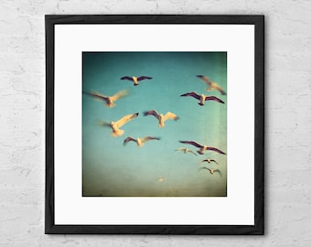 Dans Avec Les Oiseaux - Fine Art Photography - Seagulls Wall Decor - Seagull Art - Ocean Print - Beach Decor - Coastal Art - Seagull Print