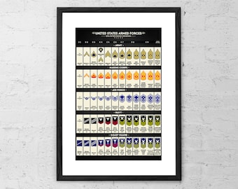 US Army Militare Brigade Generale Officier Uniforme Insegne