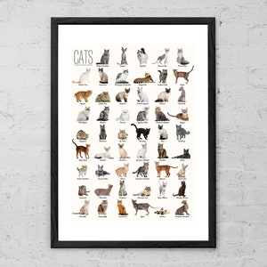 Cat Breeds - Art Print - Cat Wall Art - Cat Poster - Cat Breeds Chart - Gift for Cat Lovers - A to Z of Cat breeds - Cat Owner Gift - Decor