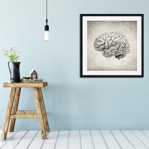 Brain Drawing - Art Print - Anatomy Art - Anatomical Art Prints - Gifts ...