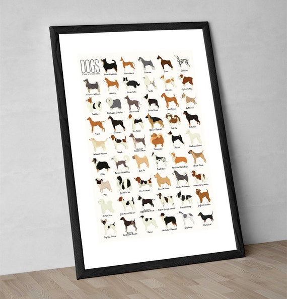 Dog Breeds - Art Print - Dog Wall Art - Dog Poster - Dog Breeds