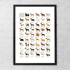 Hunderassen - Art Print - Hunde Wandkunst - Hunde Poster - Hunderassen Diagramm - Geschenk für Hundeliebhaber - Hunderassen von A bis Z - Hundebesitzer Geschenk - Dekor