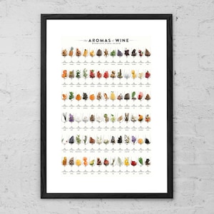 Aromas de Vino - Lámina - Arte Mural con Alcohol - Póster para Amantes del Vino - Vino Tinto - Vino Blanco - Decoración de Bistró - Arte Mural con Vino - Regalo de Vino