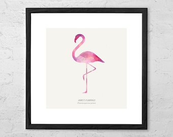 James's Flamingo - Flamingo Art Print - Flamingo Decor - Flamingo Gift - Pink Flamingo Decor - Flamingo Wall Art - Flamingo Nursery Art