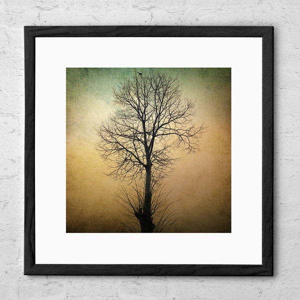 Waltz of a Tree - Art Print - Tree Poster - Photography Print - Lone Tree - Nature Wall Art - Landscape Photography Print - Home Decor Gift