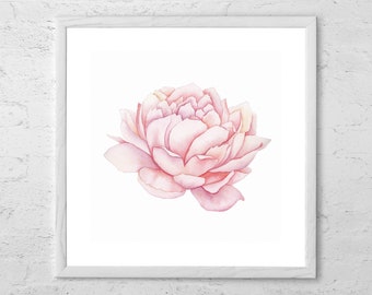 Acquerello di peonia rosa - Decorazione murale di peonia rosa - Stampa artistica di peonia rosa - Decorazione floreale per la cameretta dei bambini - Fiore rosa - Dipinto di peonia - Decorazione shabby chic