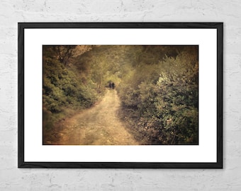 Beneath the Woods - Art Print - Landscape Photography - Forest Wall Art - Home Decor Gifts - Nature Photo Print - Nature Wall Art - Rustic