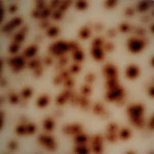 May include: A cream-coloured surface featuring a pattern of dark brown, circular spots of varying sizes. The image is captured with a soft focus, creating a blurred effect across the entire field of view, emphasising the contrast between the dark spots.