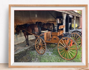 Amish Trio 3 Pennsylvania Dutch Buggies Digital Photo Wall Art