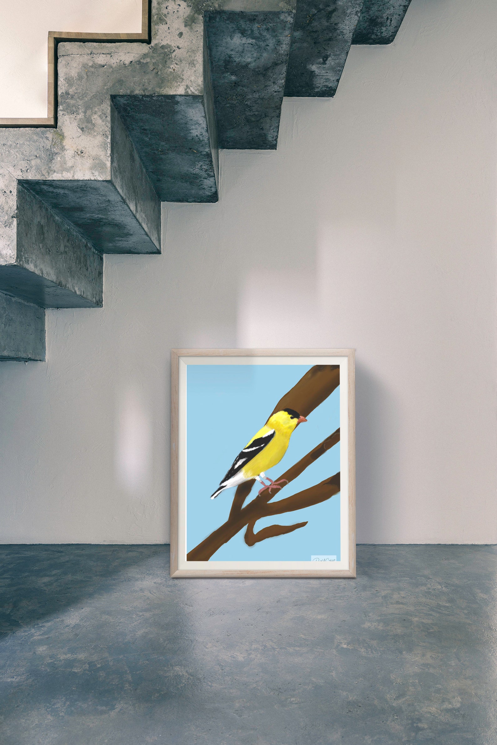 Bird Trio Wall Decor Digital Photo Set Gold Finch Oriole and Etsy España