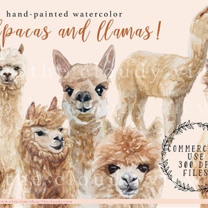 Llama and Alpaca Watercolor Clipart for Personal and Commercial Use|300 ...