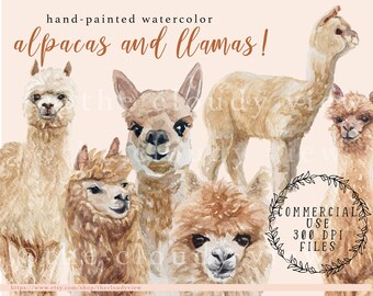May include: A watercolour illustration of alpacas and llamas in various poses and shades of brown and beige. The text reads "hand-painted watercolor alpacas and llamas!". The image also includes text indicating commercial use and 300 DPI files.