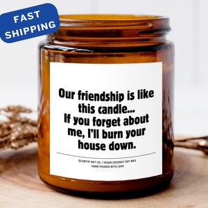 Friendship candle, Best Friend Gift, Friendship Gift, Friend Gift, Our Friendship is Like This Candle, Funny Friend Gift, Candle for Friend