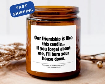 Friendship candle, Best Friend Gift, Friendship Gift, Friend Gift, Our Friendship is Like This Candle, Funny Friend Gift, Candle for Friend