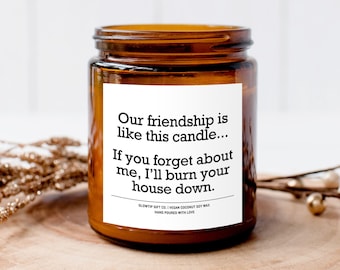 Friendship Candle, Best Friend Gift, Friend Birthday Gift, Our Friendship is Like This Candle, Funny Friend Gift, Candle for BFF Friend