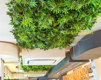 self watering indoor plant Self-Watering Planter  Intuitive Plants