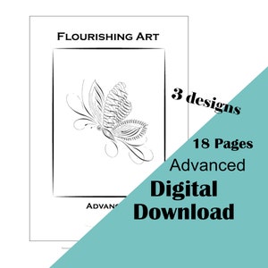 Calligraphy Flourishing Art advanced / Flourishing worksheets