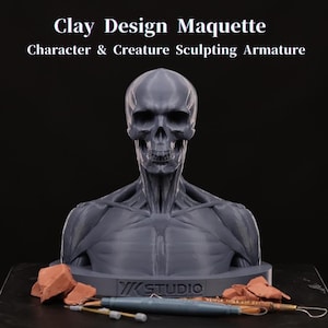 May include: A grey clay design maquette of a human skull and upper torso, with visible muscle structure. The base features the text "VK STUDIO". Sculpting tools and clay pieces are in the foreground. The text at the top reads "Clay Design Maquette Character & Creature Sculpting Armature".