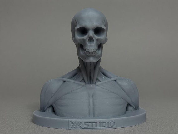 海洋堂 片桐裕司 ANATOMY BUST ソフトビニール製「アナトミー」胸像