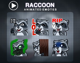 6x ANIMATED Raccoon emotes - Raccoon ANIMATED emotes - ANIMATED Twitch emotes