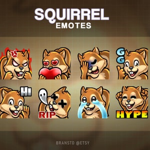 8 x Squirrel twitch emotes - Squirrel twitch emotes - Squirrel emotes