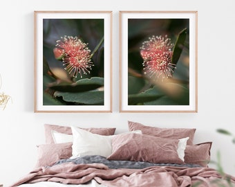 Eucalyptus flowers print set | Australian botanical photography print set | Set of 2 Australian nature prints | Gum blossom photography set