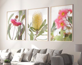 Australian native flowers print set of 3 | Australian floral photography | Minimalist Australian flowers wall decor | Set of 3 art prints