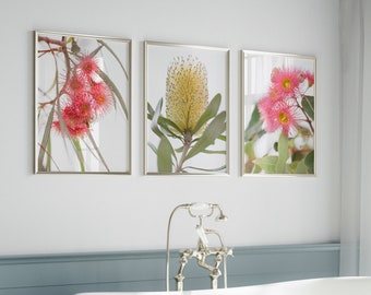 Australian flowers print set of 3 | Minimalist Australian wall art | Australian floral photography poster set | Gift for the Australian home