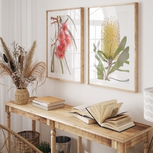 Australian native flowers set of 2 prints | Australian house warming decor gift | Banksia wall art print set | Australian photography prints